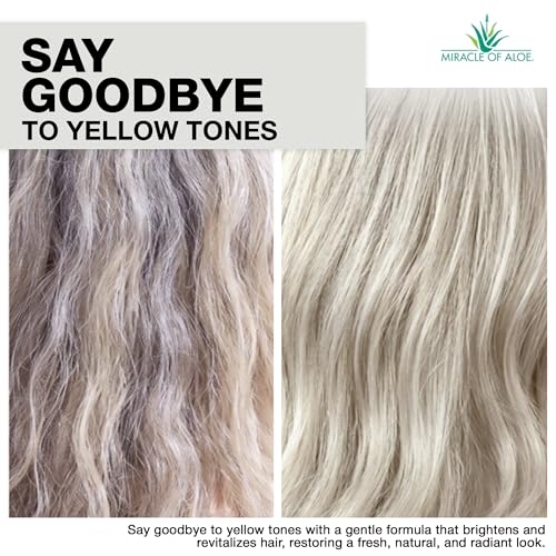 Softly Silver Purple Shampoo for Gray Hair with Aloe Vera