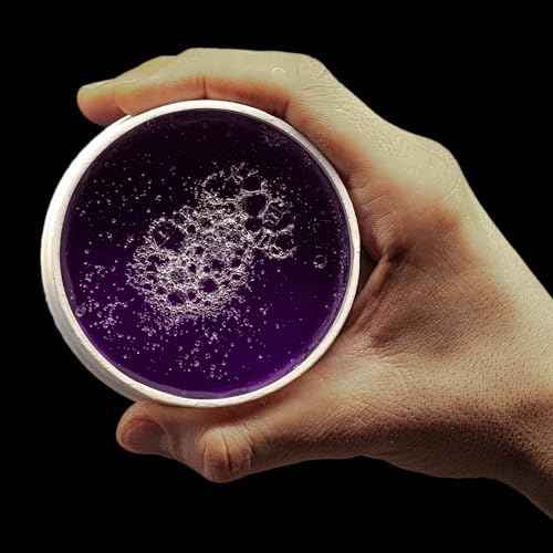 Redone Hair Styling Wax Violetta 150ml | Strong Hold & Maximum Control | Ultra Hold Gel Wax for Men & Women | Lavender Scent | Non-Sticky High Shine Finish | Professional Barber Hair Wax