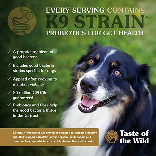 Taste of the Wild Sierra Mountain Grain-Free Canine Recipe with Roasted Lamb Dry Dog Food for All Life Stages, Made with High Protein from Real Lamb and Guaranteed Nutrients And Probiotics 28lb