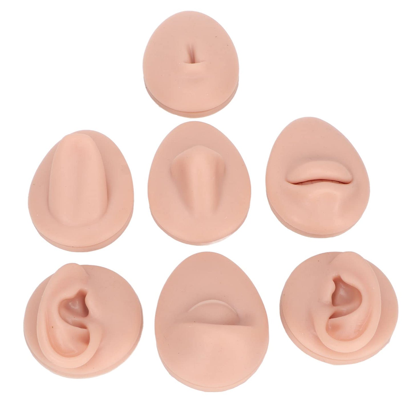 Soft Silicone Flexible Model Body Part Displays Set, Silicone Tongue Mouth Navel Ear Model for Piercing Practice and Jewelry Display Acupuncture Teaching Tool, Education (Medium
