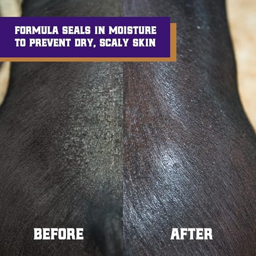 Weaver Leather Livestock Swine Conditioner and Shine
