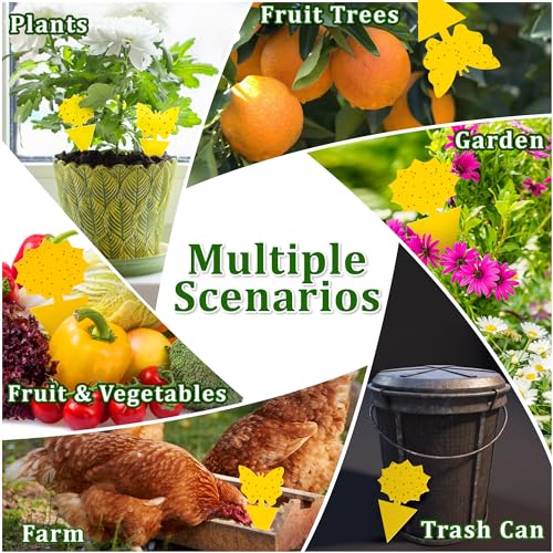 Landisun 24PCS Fruit Fly Traps Yellow Sticky Traps Fungus Gnat Traps Insect Bug Traps for Indoor Outdoor Kitchen Plants Whitefly Mosquitos Fungus Gnats Flying Insects