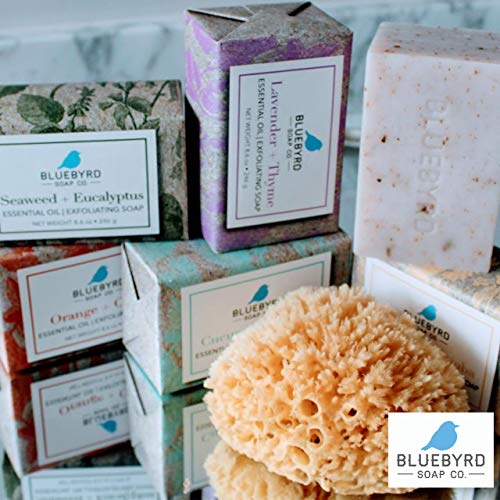 BLUEBYRD Soap Co. 5-Pack Variety Set Exfoliating Essential Oil Soap Bars | 100% Vegan Natural Bar Soap Gift | Cucumber Mint, Goat Milk Jojoba Oil, Lavender Thyme, Orange Clove, Seaweed Eucalyptus(SET)