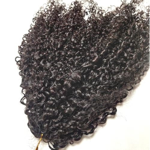 Kinky Curly Crochet Hair Extensions 14" 120g Pre-Separated Human Hair