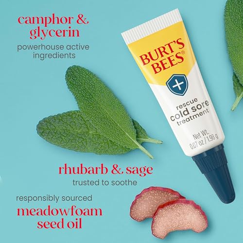 Burt's Bees Cold Sore Treatment & Medicated Lip Balm Duo