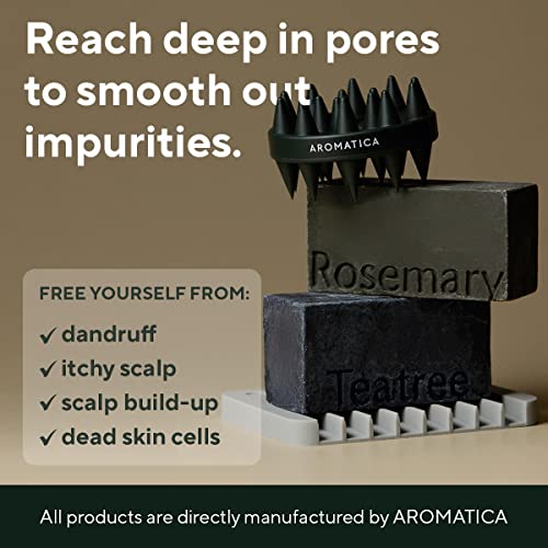 Rosemary Hair Growth Scalp Treatment Brush Set