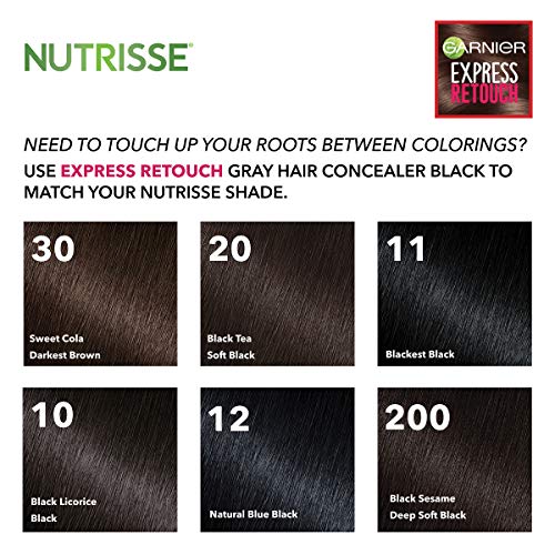 Garnier Express Retouch Gray Hair Concealer - Black
