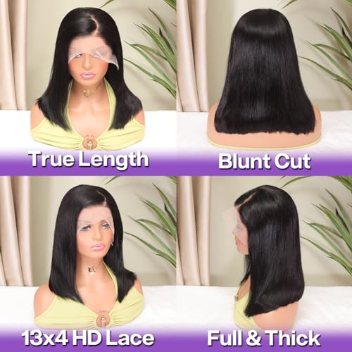 Bob Wig Human Hair 13x4 HD Lace Frontal 14 Inch Straight