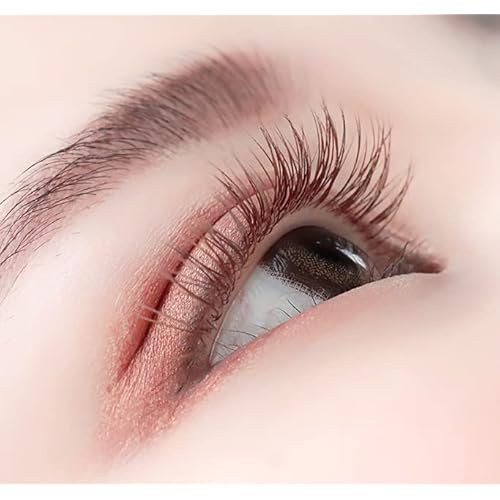 Lash Extension Supplies, 2 Trays 12 Rows Volume Eyelash Extensions, Soft Faux Mink Individual Lashes, Japanese Camellia Natural Series, 0.05-D, 10mm & 11mm, Caramel
