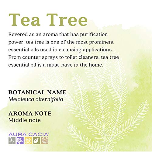 Aura Cacia Essential Oil, Cleansing Tea Tree, 4 fluid ounce