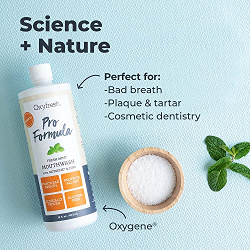 Oxyfresh Pro Formula Fresh Mint Mouthwash with Zinc - 16 Fl Oz, Alcohol & Dye Free