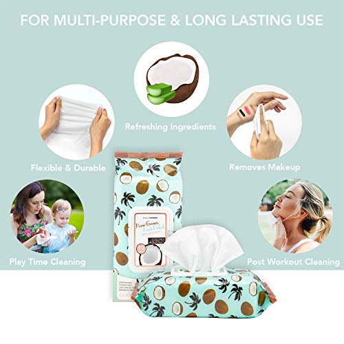 Coconut & Aloe Makeup Remover Wipes - Gentle Facial & Eye Cleansing, 50 Count - B.C. Beauty Concepts