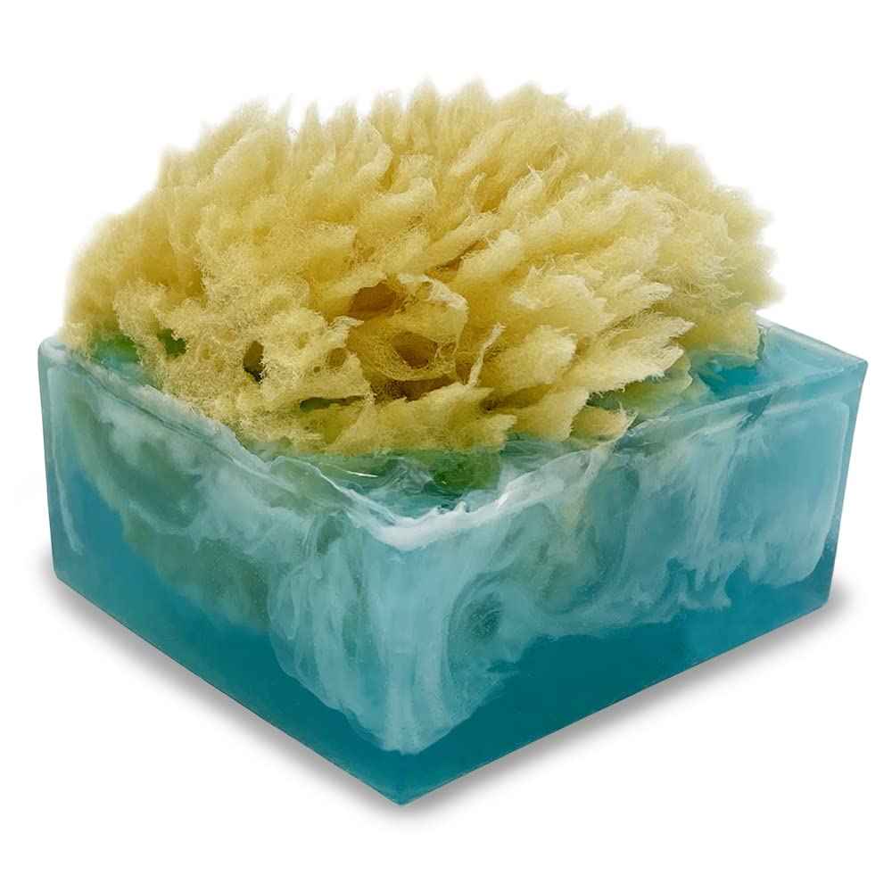 Primal Elements Facets of the Sea SpongeBar Soap (Pack of 2)