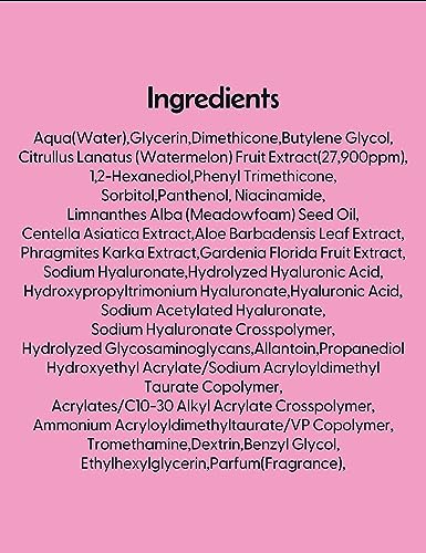 PATCH HOLIC Watermelon Moisture Gel Cream 2.36 fl. oz. Hydrating Facial Moisturizer & Gel Cream with 8 Hyaluronic Acid | Nourishing Facial Cream Gel Moisturizer for Face | Face Cream for Dry Skin