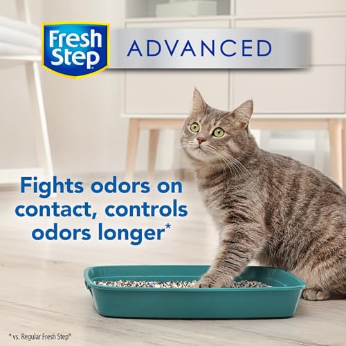 Fresh Step Clumping Cat Litter, Advanced, Clean Paws Multi-Cat, Extra Large, 37 Pounds total (2 Pack of 18.5lb Boxes)