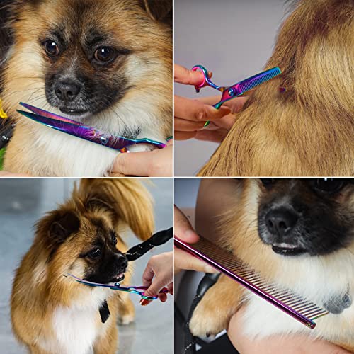 Professional Pet Grooming Scissors Kit - 7" Curved Shears