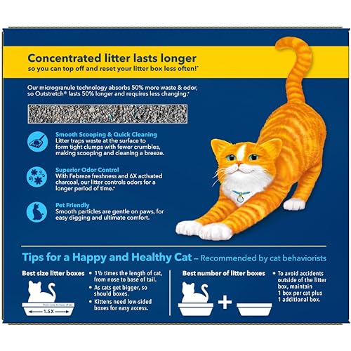 Fresh Step Outstretch, Clumping Cat Litter, Advanced, Extra Large, 32 Pounds total (2 Pack of 16lb Boxes)