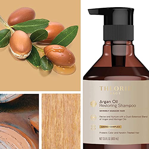 Theorie Argan Oil Restoring Shampoo 800mL - Sulfate Free