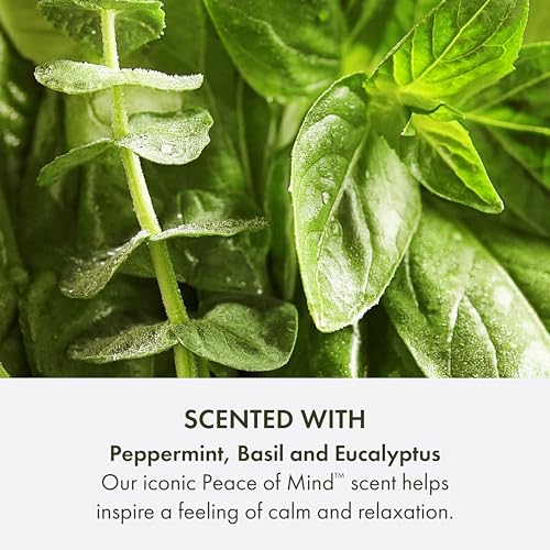 Origins Peace of Mind Daily Body Wash | Cleanses Skin & Awakens Your Senses| With Our Signature Scent of Peppermint, Basil and Eucalyptus, 6.7 Fl Oz