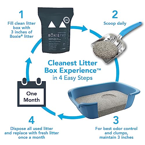 Boxie® Probiotic 40 Day Natural Odor Control Cat Litter, 28lb Clumping Clay Kitty Litter