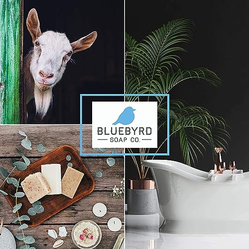 Bluebyrd Soap Plumeria Goat's Milk Soap Bar | Women's Natural Goat Milk Body Soap | Cold Process, Chemical Free, Floral Scented, Rich Farm Fresh Goatmilk Bar Soaps (Plumeria)