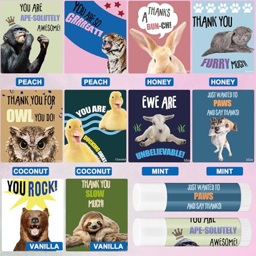 40 Sets Valentines Employee Appreciation Gifts Bulk for Coworkers Thank You Staff Gift Inspirational Animal Pun Lip Balm Note Cards Organza Bag for Office Party Favor Team Volunteer Nurse