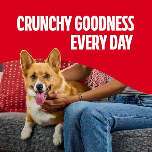 Milk-Bone Flavor Snacks Mini Dog Biscuits, 36 oz Canister