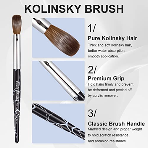 Shine Chance Acrylic Nail Art Brush Size 16, 100% Pure Kolinsky Hair Oval Nail Brush for Acrylic Application, Professional Nail Extension Manicure Tool Striping Nail Drawing Pen for DIY Home Salon