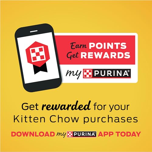 Purina Kitten Chow Dry Kitten Food, Nurture Muscle + Brain Development - (4) 6.3 lb. Bags