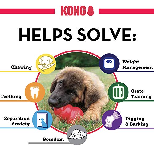 KONG Puppy - Natural Teething Rubber Chew Toy for Dogs - Stuffable Dog Toy for Extended Playtime - Chew & Fetch Toy for Puppies - for Medium Puppies - Pink