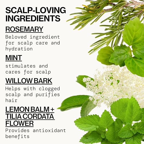Pacifica Rosemary Clarifying Shampoo - Detox & Purify