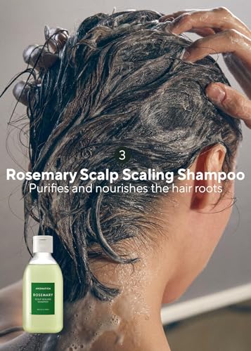 AROMATICA Rosemary Scalp Scrub Trial Kit with Wooden Brush