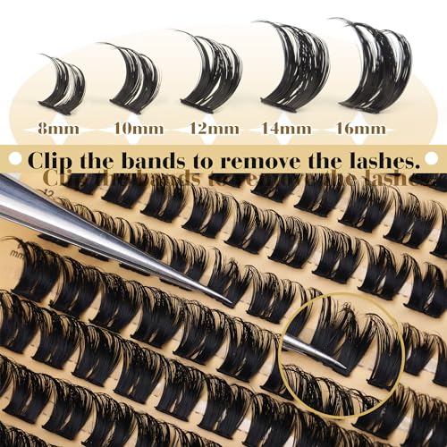 Wispy Lash Clusters D Curl Cluster Eyelash Extensions 150pcs Thick Eyelash Clusters 8-16mm Fluffy Cluster Lashes DIY Individual Lashes Extension by TOOCHUNAG(150pcs,8-16mm)