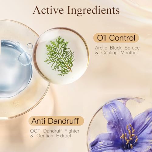 Dear Irean Anti Dandruff Shampoo & Conditioner Set with Argan Oil - Sulfate-Free Hair Care for Oily, Dry & Damaged Hair, 30.4 oz