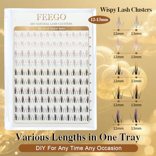 FEEGO Gradient Color Cloud Imp 5 Different Gradient Color Lashes 100pcs False Eyelashes Design lash looks for any event Styling False Eyelash (Includes Double-Ended Adhesive/Tweezers/Remover)