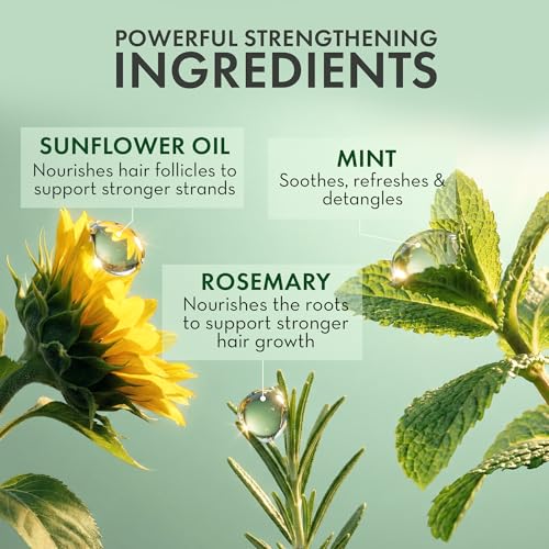 PHARM TO TABLE Rosemary Leave-In Conditioner Spray 2 Pack for Hair Growth & Scalp Care