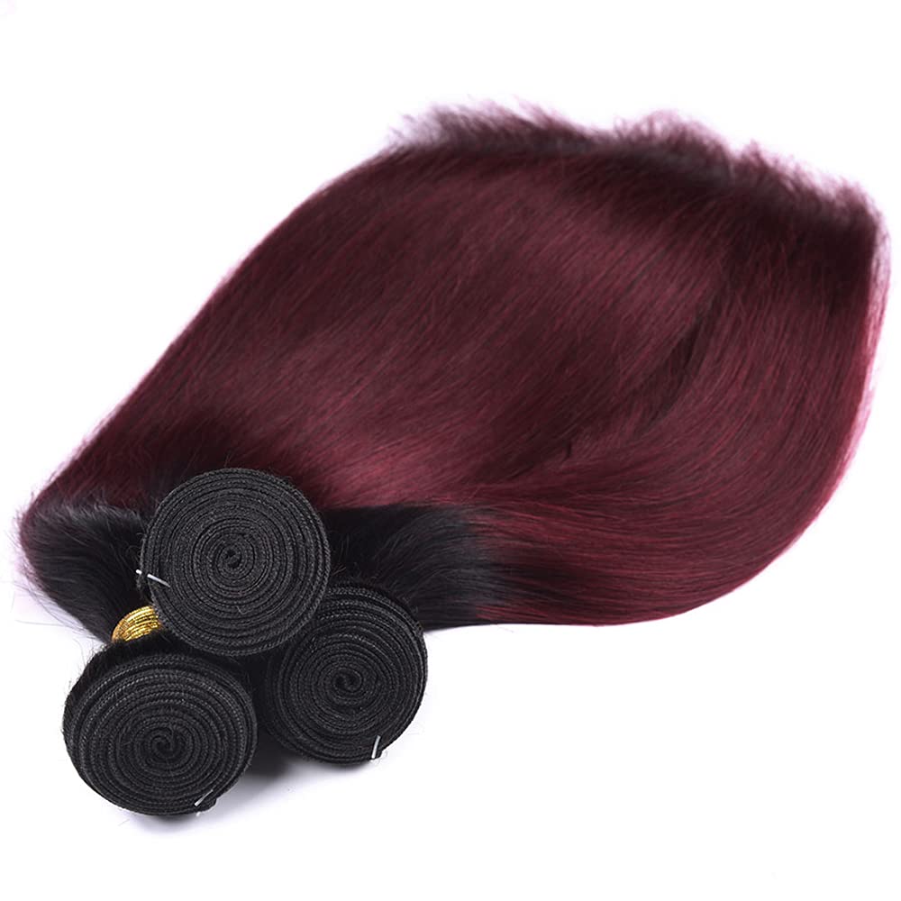 24 26 28 Inch Burgundy Human Hair Bundles Ombre 1b99j Bundles Brazilian Straight Remy Hair 3 Bundles Red Straight Bundles Human Hair Double Weft Hair Extensions for Black Women 100g/Pc