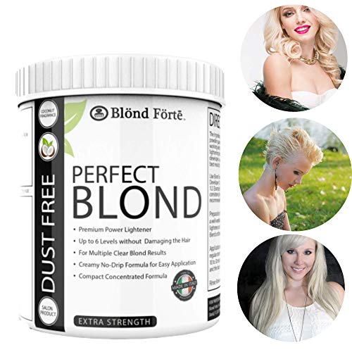 Blond Forte Blue Powder Hair Lightener & Toner - 1.1 Pound Italy Made