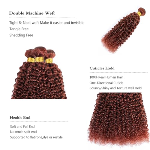 Color 33 Curly Wave Human Hair Bundles 8A Grade