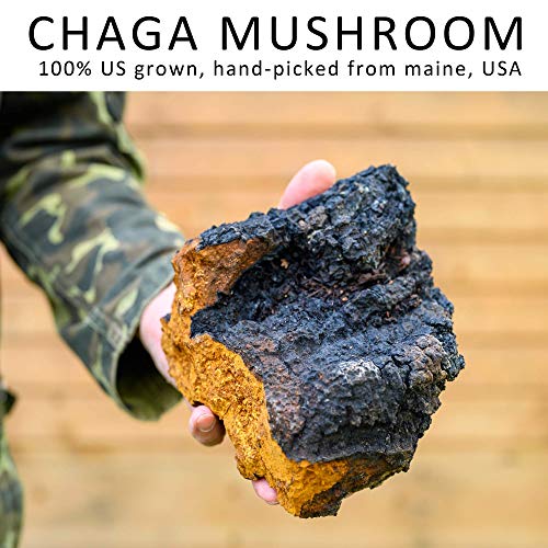 Chaga Mushroom Face Lotion 2oz ? All Natural, Cedarwood Scent, Shea Butter Moisturizer, Antioxidant, Paraben Free, Made in USA
