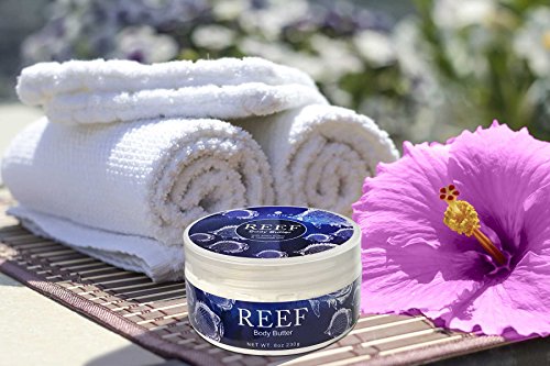 Jolitee Reef Luxury Body Butter - Shea & Cocoa with Sea Kelp Extract – Hydrating Skincare, 8 oz (230 g)