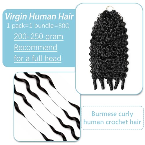 Burmese Curly Crochet Human Hair Bundles - 18 Inch, Knotless