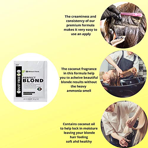Blonde Toner Hair Lightener Powder for Dark Hair (3 Pack)