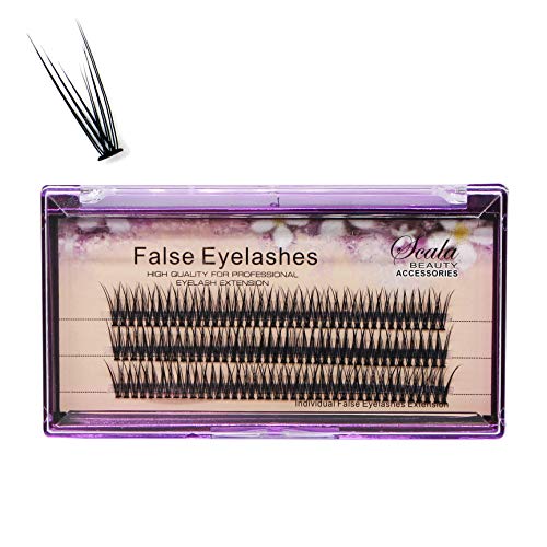 Bodermincer 12D Fishtail Lash Clusters D Curl 120pcs Natural Wispy Eyelashes Extensions (14mm)