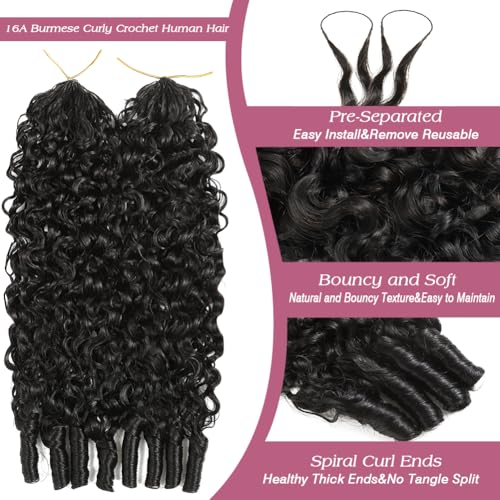 Burmese Curly Crochet Hair 16 Inch 120g Virgin Human Hair