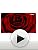 Cacharel Amor Amor Eau de Toilette for Women