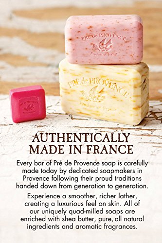 Pre de Provence Artisanal Soap Bar, Enriched with Organic Shea Butter, Natural French Skincare, Quad Milled for Rich Smooth Lather, Lavender, 8.8 Ounce