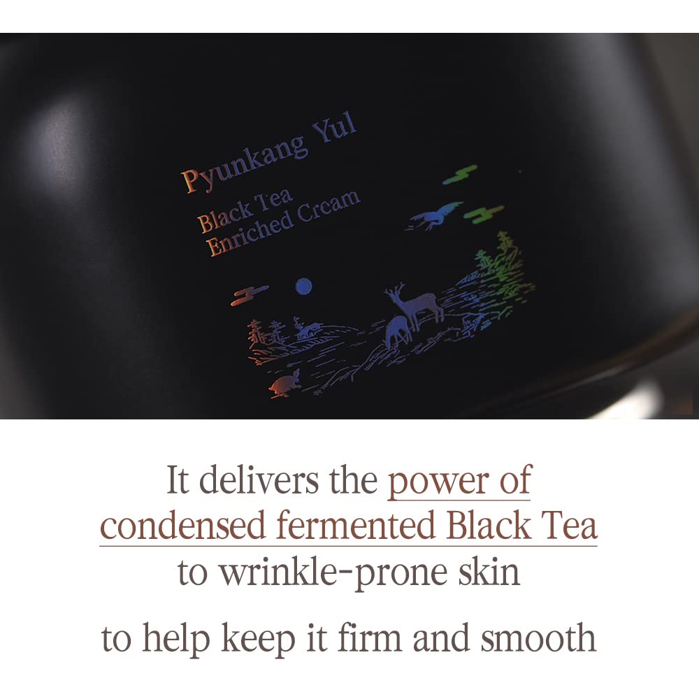 Pyunkang Yul [PKY] Black Tea Enriched Cream for Anti-aging, Condensed Nutrition for Fine Line Care with Kombucha, Ginseng Extract, Zero-Irritation, Korean Skincare (2.02 Fl. Oz, 60ml)