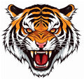 Tiger Temporary Tattoos for Men & Women - 6 Sheet Pack
