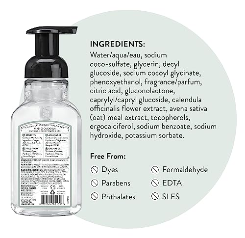 J.R. Watkins Eucalyptus Foam Hand Soap Dispenser 3 Pack, 9 fl oz